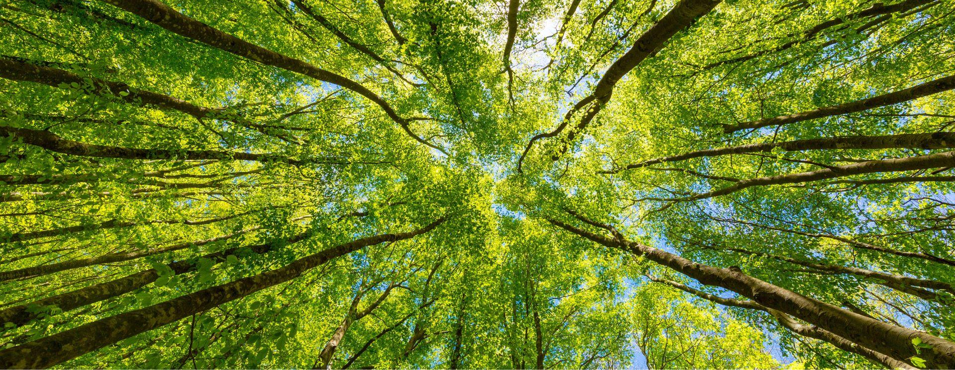 Unser Engagement für die Umwelt | Casalgrande Padana Unser Engagement für die Umwelt | Casalgrande Padana